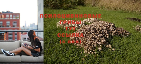 кристаллы Нязепетровск