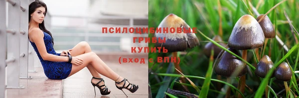 спиды Осинники