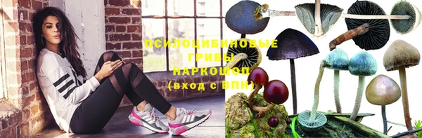 спиды Осинники