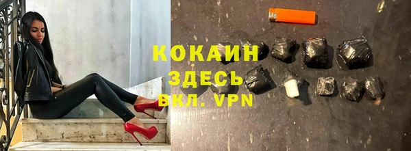 Альфа ПВП Няндома
