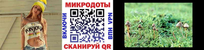 Галлюциногенные грибы мицелий  mega рабочий сайт  Ликино-Дулёво  сколько стоит 